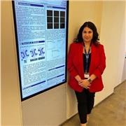 Ingegnere Biomedico, ripetizioni in materie scientifiche per tutti i livelli di studio. Aiuto compiti nelle materie umanistiche